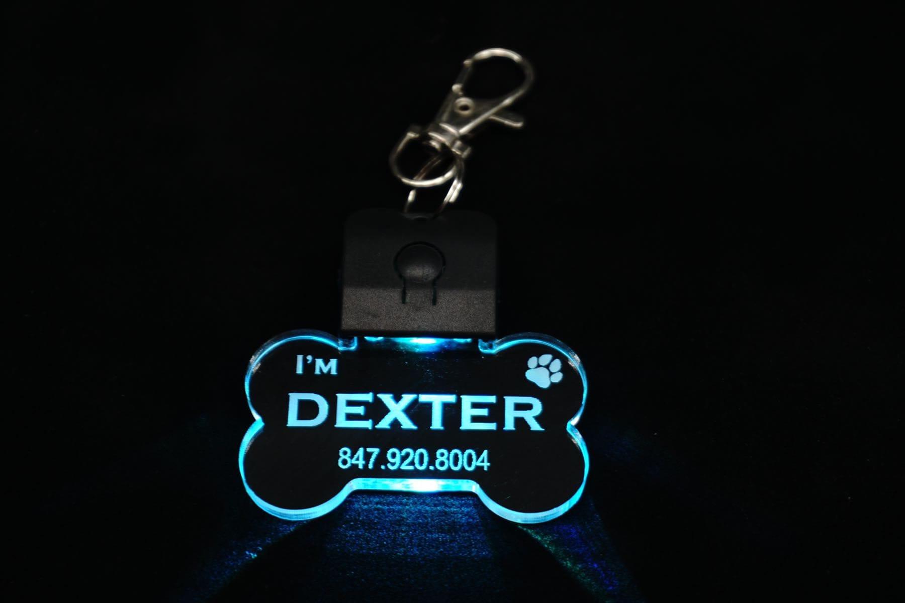 Led clearance dog tag