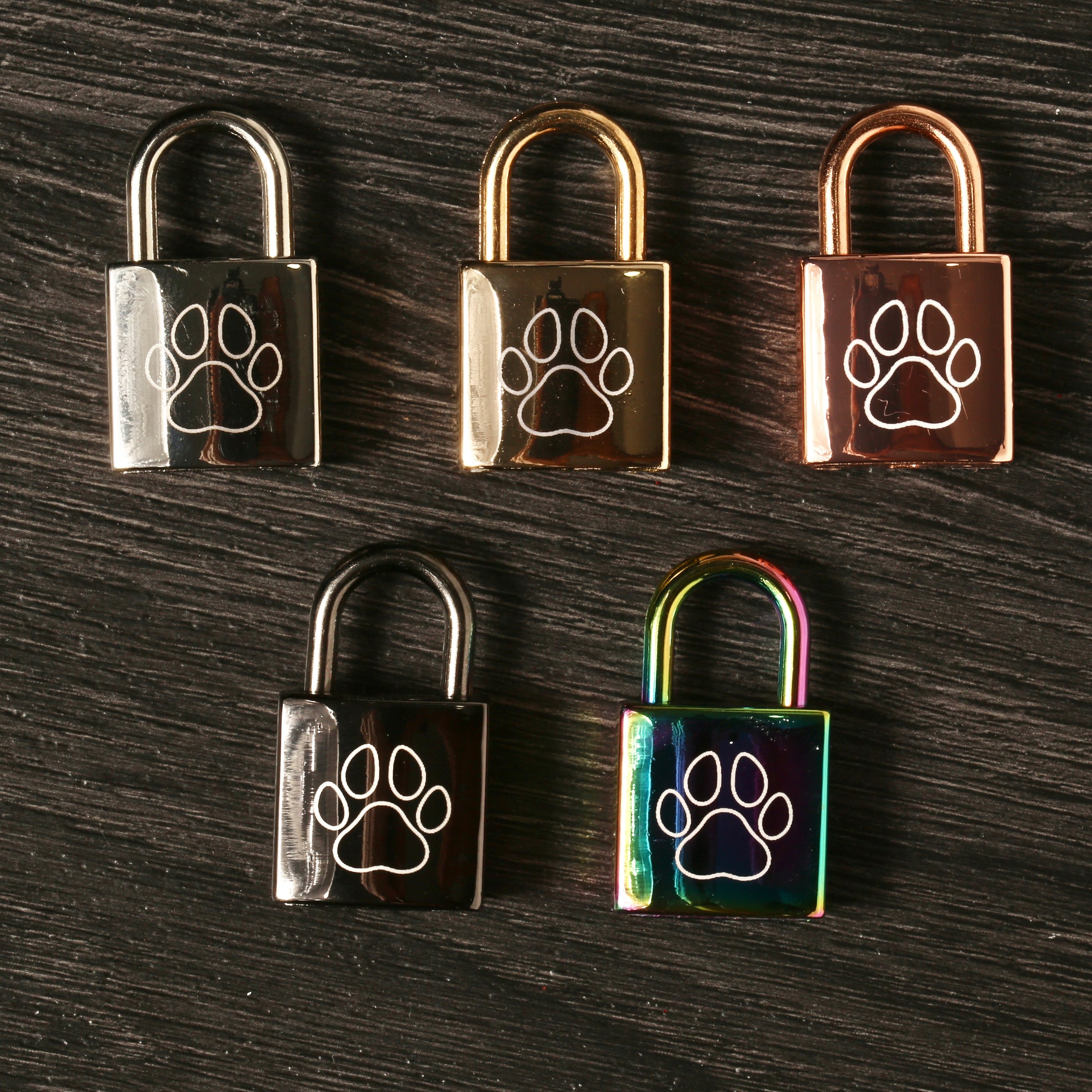 Puppy Play - Jones Creativity