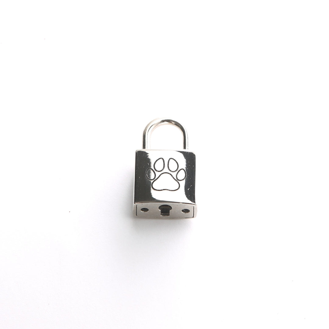 Puppy Play Collar Locks - Miniature Padlock With Keys | Decorative Puppy Play Accessories