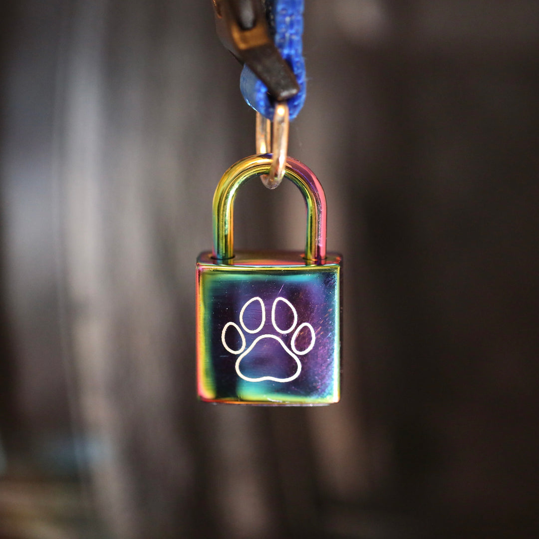 Puppy Play Collar Locks - Miniature Padlock With Keys | Decorative Puppy Play Accessories