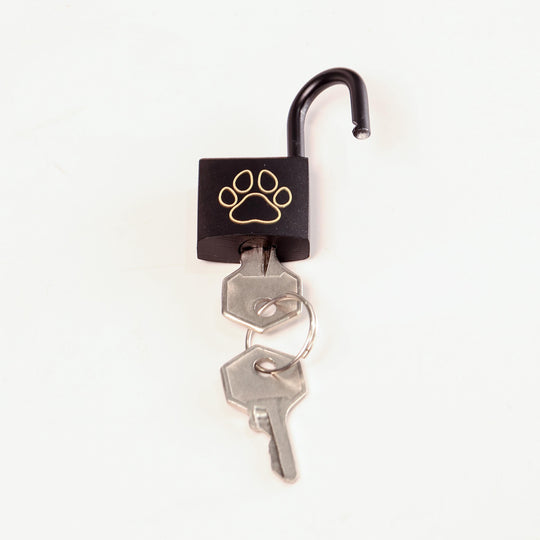 Puppy Play Collar Locks - Miniature Padlock With Keys | Decorative Puppy Play Accessories