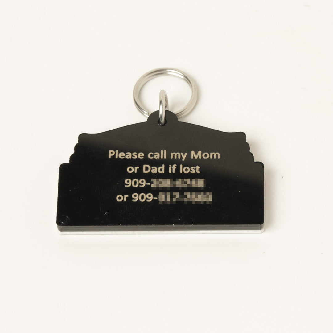 Personalized Wrigley Field Pet Tag - Custom Acrylic Dog Collar Tag With Stainless Steel Ring