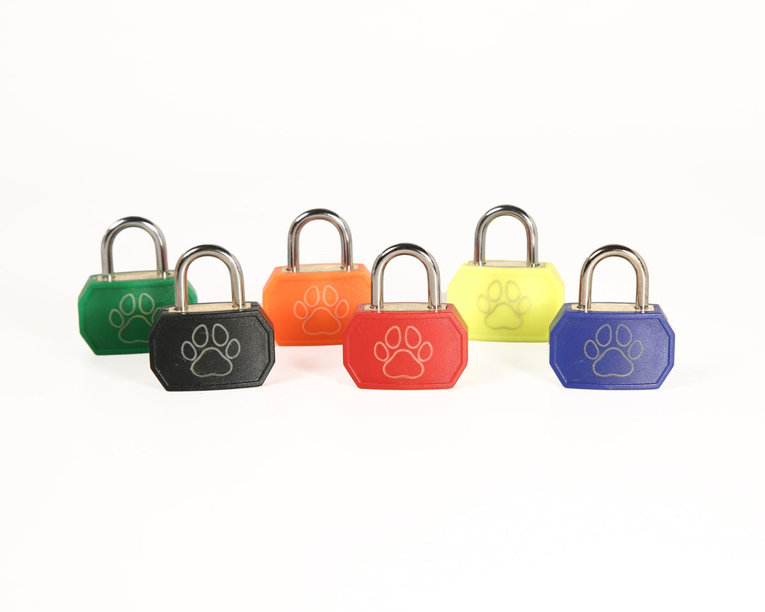 Puppy Play Collar Locks - Mini Padlock Accessory for Puppy Play Gear & Cute Pet Collars