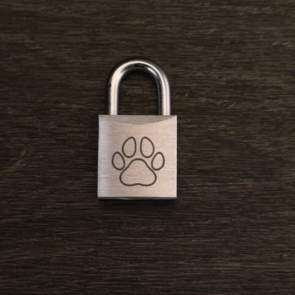Puppy Play Collar Locks - Miniature Padlock With Keys | Decorative Puppy Play Accessories