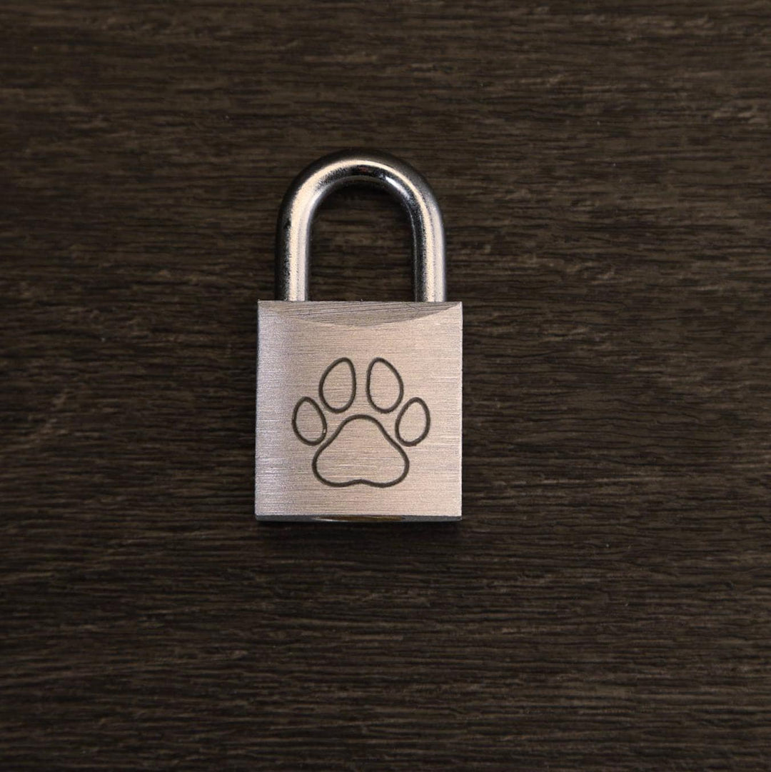 Puppy Play Collar Locks - Miniature Padlock With Keys | Decorative Puppy Play Accessories