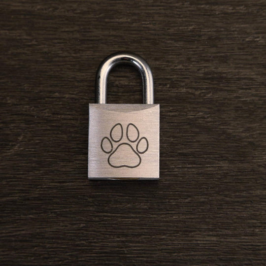 Puppy Play Collar Locks - Miniature Padlock With Keys | Decorative Puppy Play Accessories