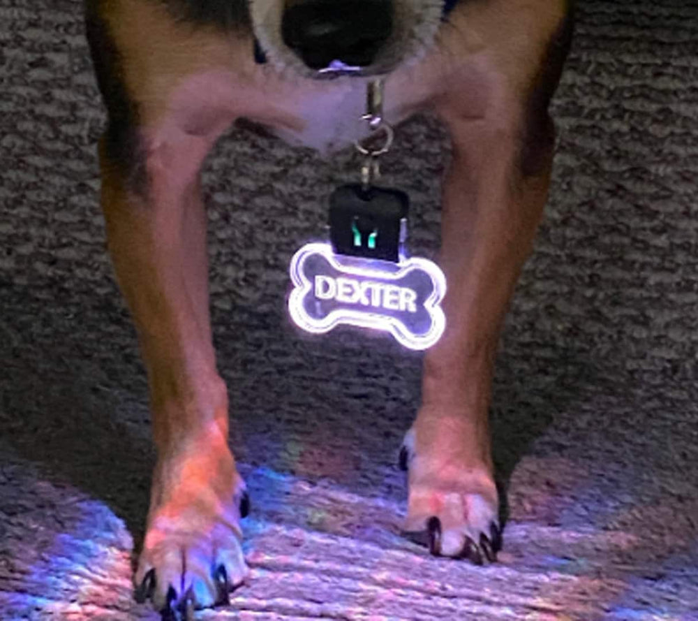 Personalized LED Dog Tag – Color Changing Light Up Bone Tag with Rechargeable USB