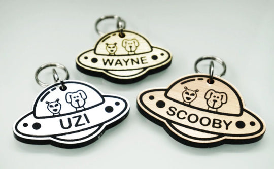 UFO Pet Tag Custom Laser Engraved | Unique Alien Dog & Cat ID Tag