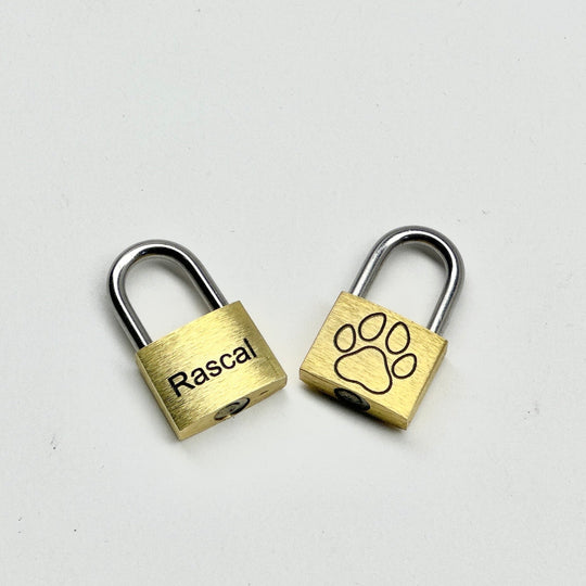 Puppy Play Collar Locks - Miniature Padlock With Keys | Decorative Puppy Play Accessories