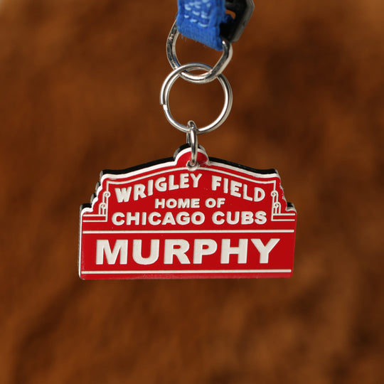 Personalized Wrigley Field Pet Tag - Custom Acrylic Dog Collar Tag With Stainless Steel Ring