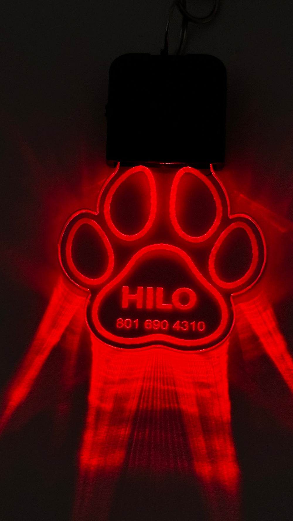 LED Dog Tag - Personalized Light Up Dog Collar Accessory With Color Changing Acrylic