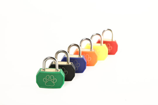 Puppy Play Collar Locks - Mini Padlock Accessory for Puppy Play Gear & Cute Pet Collars