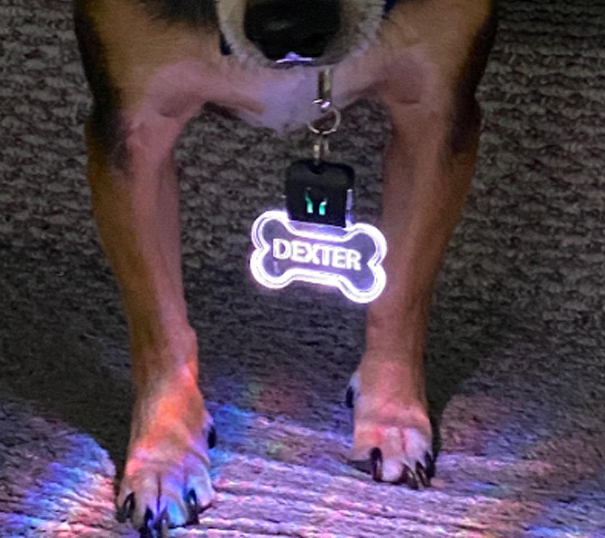 Personalized LED Dog Tag - Light Up Dog Tag - Color Changing - Stocking Stuffer - LED Bone Tag - Acrylic Name Tag - Jones Creativity
