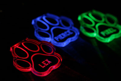 Personalized LED Dog Tag - Light Up Dog Tag - Color Changing - Stocking Stuffer - LED Dog Tag - Acrylic Name Tag - Jones Creativity
