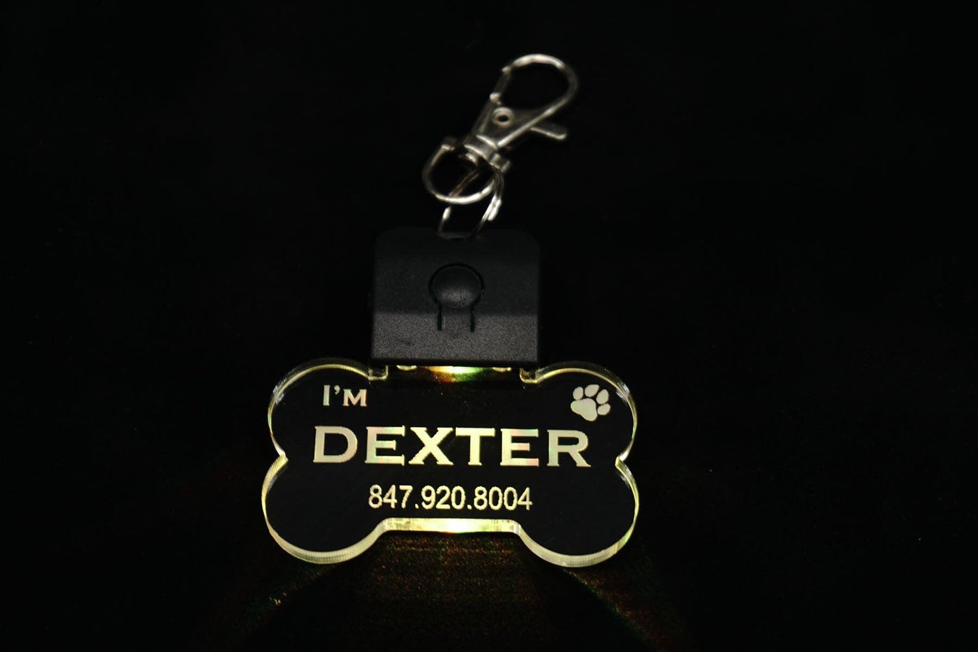 Personalized LED Dog Tag with Phone Number - Jones Creativity